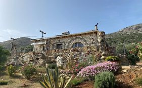 Villa Gloria Plataria